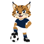 雷霆战警安卓旗舰版-雷霆战警正版安全入口/官方手机APP/安卓iOS通用